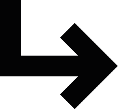Enterpfeil Icon